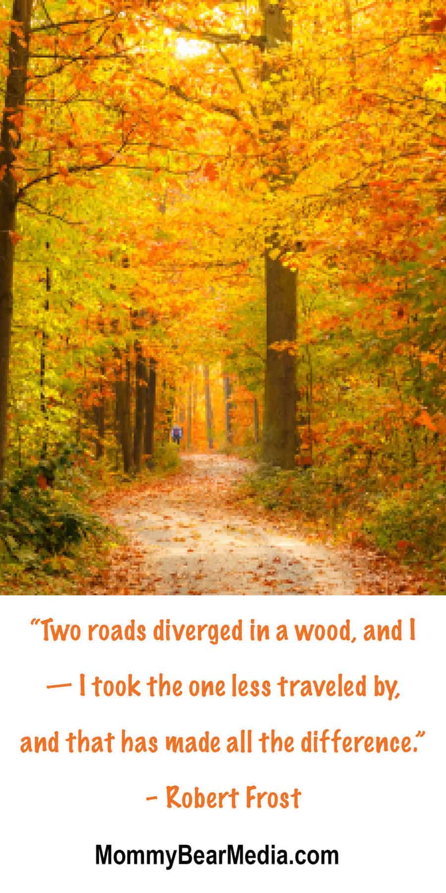 “Two roads diverged in a wood, and I — I took the one less traveled by, and that has made all the difference.” – Robert Frost